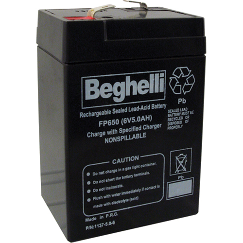 Sealed Lead Acid Batteries, 6 V, 5 Ah Groupe Belzile Dickner