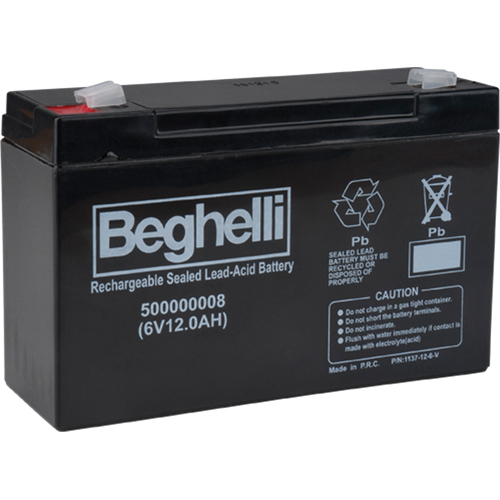 Sealed Lead Acid Batteries, 6 V, 12 Ah Groupe Belzile Dickner