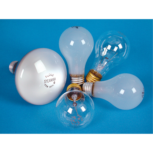 Incandescent Lamps - Long Life Groupe Belzile Dickner