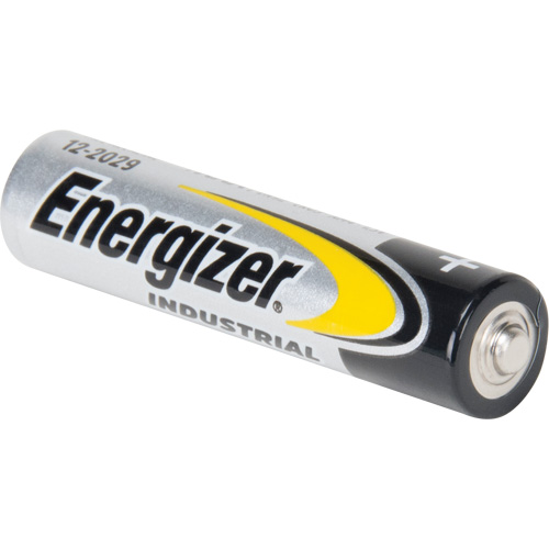 Alkaline Industrial Batteries, AAA, 1.5 V Groupe Belzile Dickner
