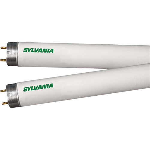 Lampes fluorescentes, 32 W, T8, 4100 K, Longueur de 48" Groupe Belzile Dickner