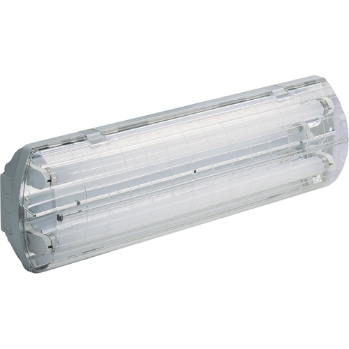 Lampes Vapor-Tight s&eacute;rie BS100 Illumina, Polycarbonate, 120 V Groupe Belzile Dickner