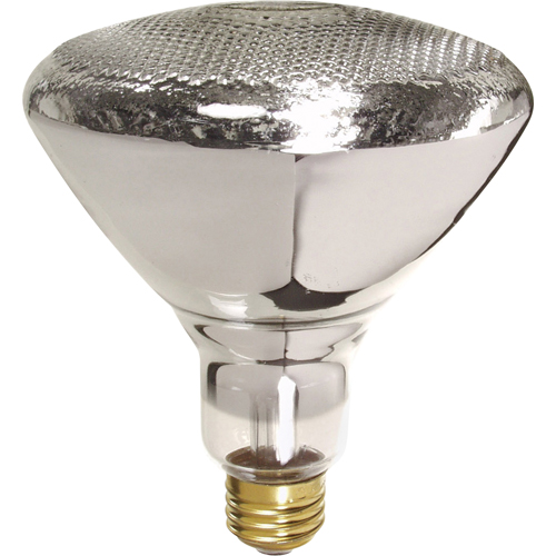 Economy Line Incandescent Lamps Groupe Belzile Dickner