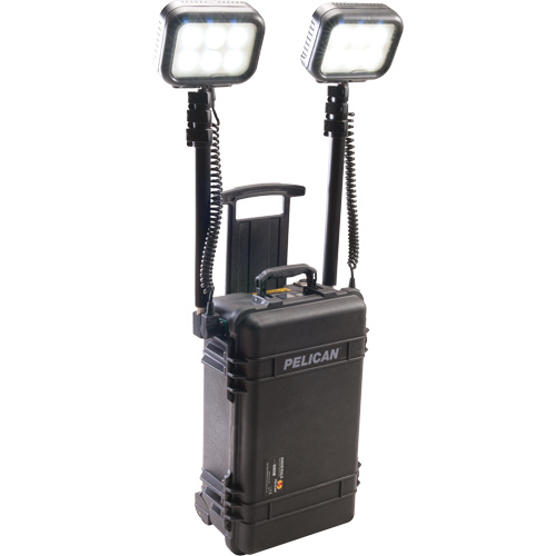 Syst&egrave;mes d'&eacute;clairage pour zones recul&eacute;es 9460, DEL, 12 000 lumens, Boîtier en Plastique Groupe Belzile Dickner