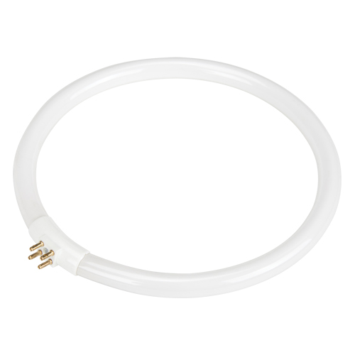 Ampoule fluorescente de rechange pour lampes-loupes Rhinomag, 22 W Groupe Belzile Dickner