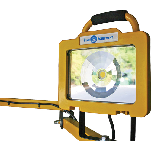 Heavy-Duty Dock Light, 40" Arm, 38 W, LED Lamp, Metal Groupe Belzile Dickner