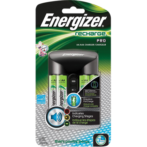 Battery Charger Groupe Belzile Dickner