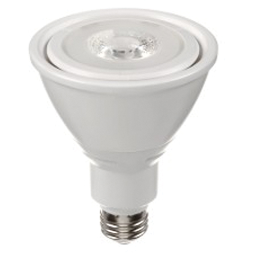 LED Bulb, PAR30, 10 W, 800 Lumens, Medium Base Groupe Belzile Dickner
