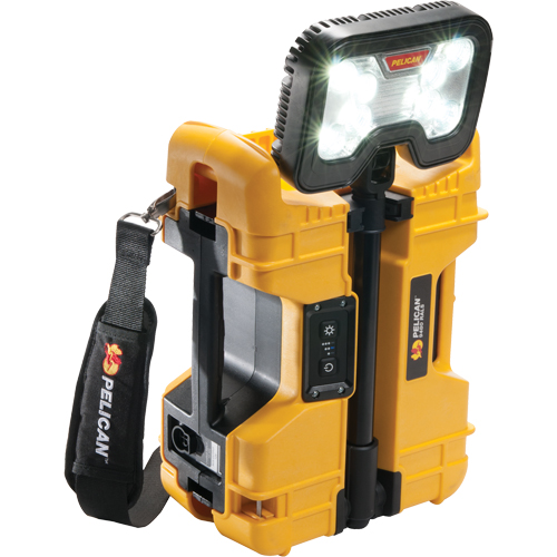 9480 Remote Area Lighting Systems, LED, 41.1 W, 4000 Lumens, Plastic Housing Groupe Belzile Dickner