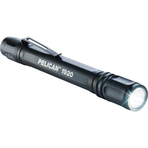 1920 ProGear Flashlights, LED, 120 Lumens, AAA Batteries Groupe Belzile Dickner