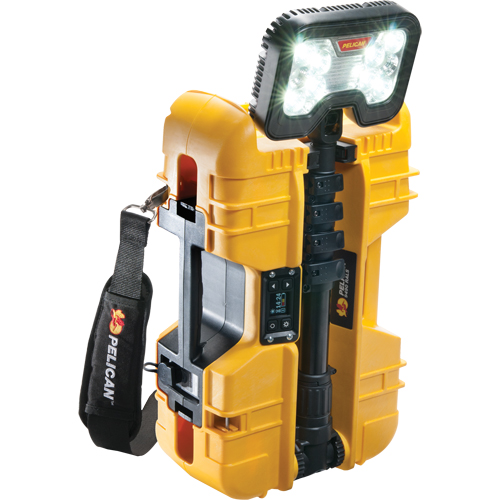 9490 Remote Area Lighting Systems, LED, 53.3 W, 6000 Lumens, Plastic Housing Groupe Belzile Dickner