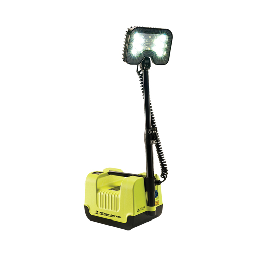 Syst&egrave;mes d'&eacute;clairage pour zone recul&eacute;e 9455, DEL, 21 W, 1600 lumens, Boîtier en Plastique Groupe Belzile Dickner