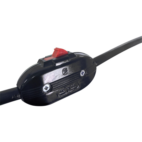 Electrical Cord with Switch Groupe Belzile Dickner