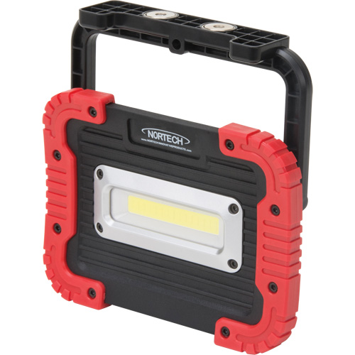Lampe de travail portative, DEL, 10 W, 1000 lumens, Boîtier en Plastique Groupe Belzile Dickner