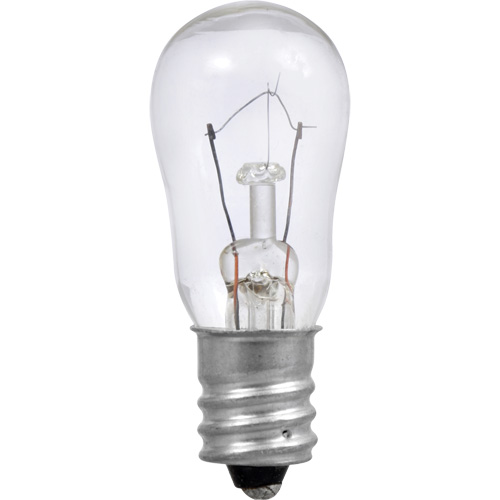 Ampoule incandescente S6 Groupe Belzile Dickner