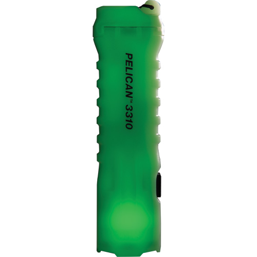 Lampe de poche, DEL, 378 lumens, Piles AA Groupe Belzile Dickner