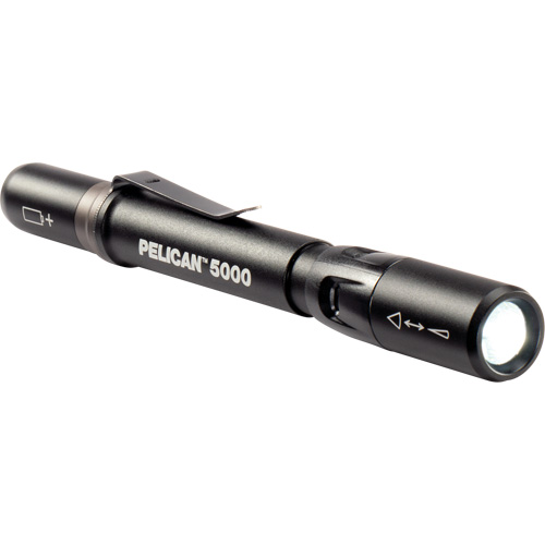 Lampe de poche, DEL, 202 lumens, Piles AAA Groupe Belzile Dickner