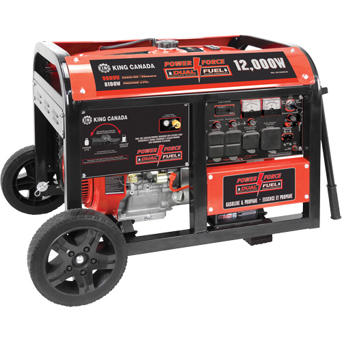 Gasoline/Propane Generator with Electric Start Groupe Belzile Dickner