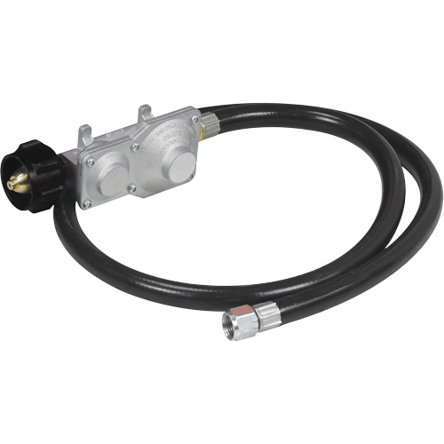 Gasoline/Propane Generator with Electric Start Groupe Belzile Dickner