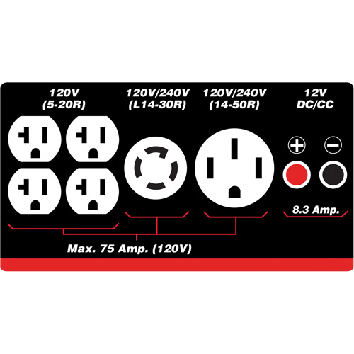 Gasoline/Propane Generator with Electric Start Groupe Belzile Dickner