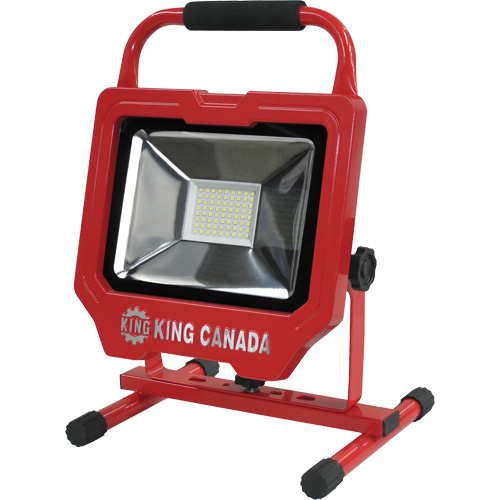 Lampe de travail, DEL, 36 W, 4000 lumens, Boîtier en Aluminium Groupe Belzile Dickner