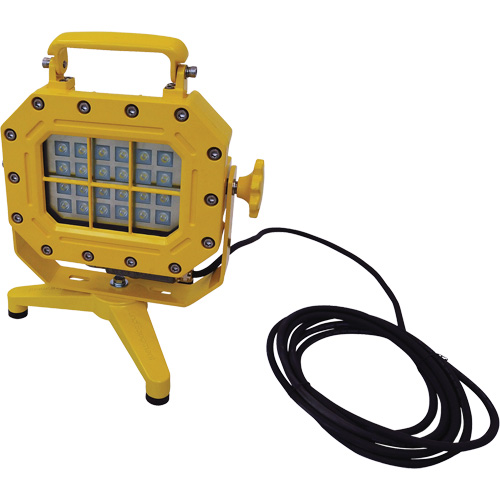 Explosion Proof Floodlight with Stand, LED, 40 W, 5600 Lumens, Aluminum Housing Groupe Belzile Dickner