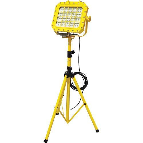 Explosion Proof Floodlight with Tripod, LED, 40 W, 5600 Lumens, Aluminum Housing Groupe Belzile Dickner