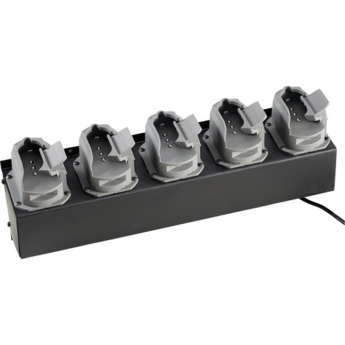 Chargeur de batteries de lampe de poche Survivor X Groupe Belzile Dickner