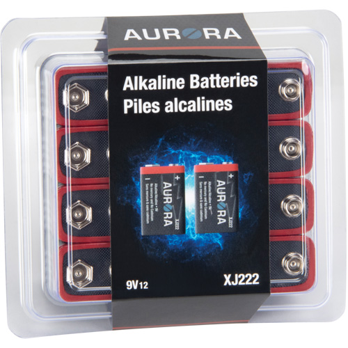 Piles alcalines industrielles, 9 V Groupe Belzile Dickner