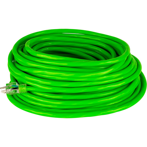 Industrial Extension Cord, All-Weather, SJTW, 10/3 AWG, 15 A, 100' Groupe Belzile Dickner