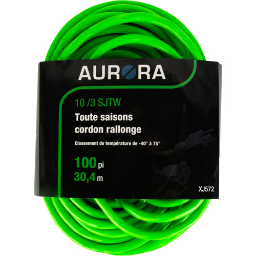 Industrial Extension Cord, All-Weather, SJTW, 10/3 AWG, 15 A, 100' Groupe Belzile Dickner