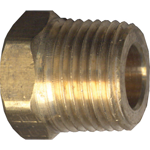 Hex Head Cored Plug, Pipe, 1/2" Dia., Brass Groupe Belzile Dickner