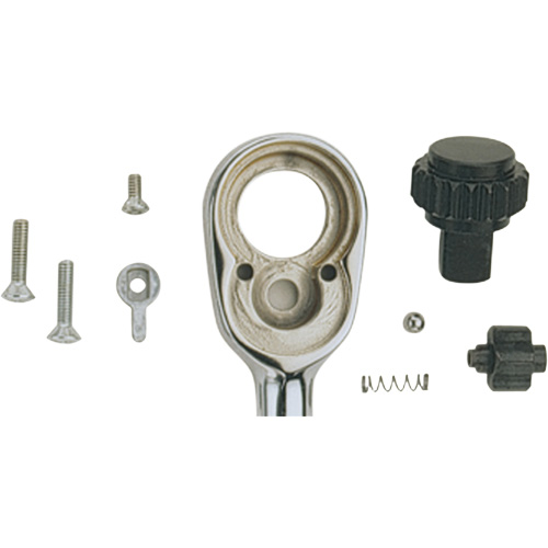 Ratchet Repair Kit Groupe Belzile Dickner