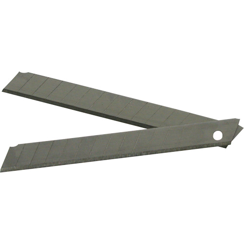 Replacement Blade, Snap-Off Style Groupe Belzile Dickner
