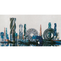 E-30 Protective Coating, Clear, 25 lbs., B Groupe Belzile Dickner