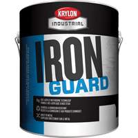 Industrial Iron Guard&reg; Water-Based Enamel, 3.78 L, Gallon, Red Groupe Belzile Dickner