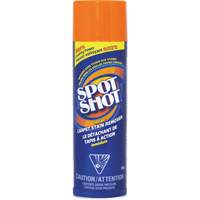 Spot Shot&reg; Professional Instant Carpet Stain Remover, 496 g, Aerosol Can Groupe Belzile Dickner