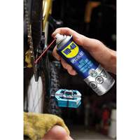 Bike Chain Lubricant, Aerosol Can Groupe Belzile Dickner