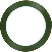 Polyester Tape, Polyester, 25.4 mm (1") W x 66 m (216') L, 1.9 mils Thick Groupe Belzile Dickner