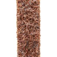 Courroies de traitement des surfaces Scotch-Brite Groupe Belzile Dickner