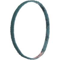 Courroies de traitement des surfaces Scotch-Brite Groupe Belzile Dickner