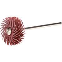 Scotch-Brite Radial Bristle Discs, P220X Grit, 3/4" Dia. Groupe Belzile Dickner