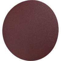Disque en toile PSA 248D, 12" dia., Grain 36, Oxyde d'aluminium Groupe Belzile Dickner