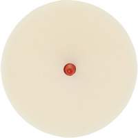 Scotch-Brite Moulding Adhesive & Stripe Removal Disc, 7501, 4" Dia. Groupe Belzile Dickner