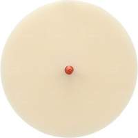 Scotch-Brite Moulding Adhesive and Stripe Removal Disc 7502, 6" Dia. Groupe Belzile Dickner