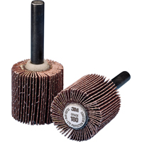 General Purpose Flap Wheel, Aluminum Oxide, 60 Grit, 1" x 1" x 1/4" Groupe Belzile Dickner