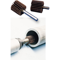 Meule &agrave; lamelles &agrave; usage g&eacute;n&eacute;ral, Oxyde d'aluminium, Grain 60, 2" x 1" x 1/4" Groupe Belzile Dickner