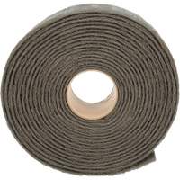 Ruban de nettoyage et de finition Scotch-Brite, Tr&egrave;s fin, 4" la x 30' lo Groupe Belzile Dickner
