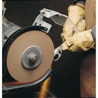 Meules d'abrasion & de polissage Scotch-brite, 6" dia. x 1" la, Arbre 1", Oxyde d'aluminium Groupe Belzile Dickner