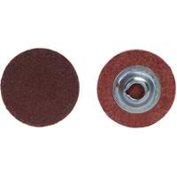 Lock Back Sanding Discs